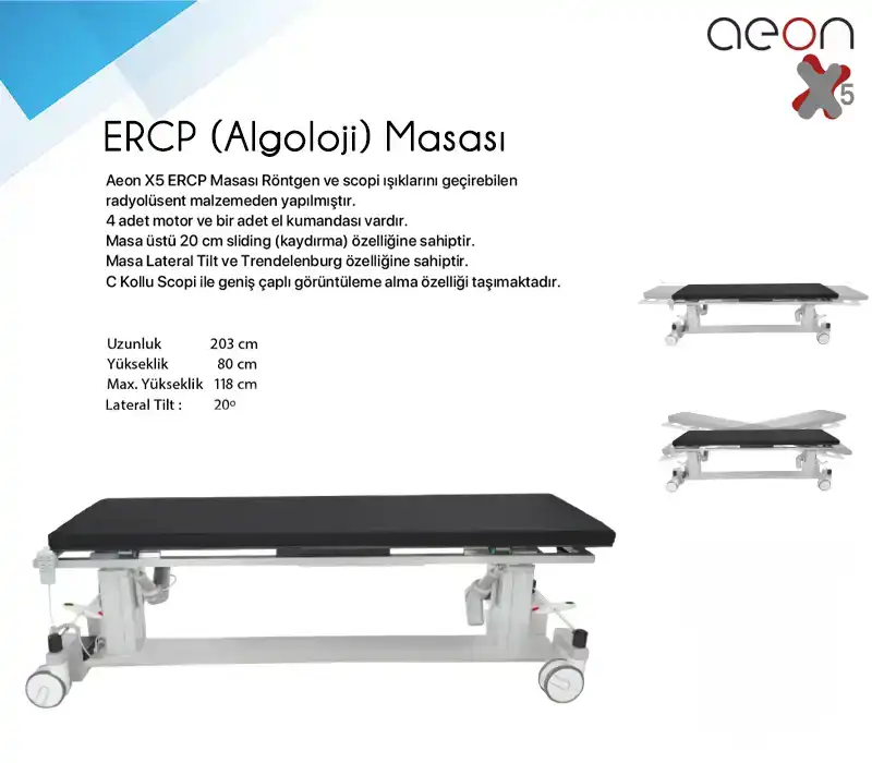 Algoloji Masası